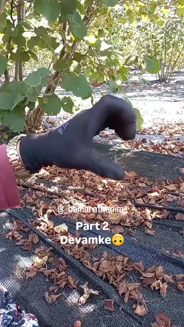 Post 7 by Hamarat Eller (Köy Blog)🦋🇹🇷🏡☕️🥘👩‍🌾 on Instagram (video)