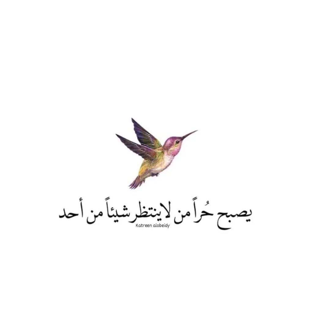 Post 5 by Katy Alobeidi on Instagram (image)