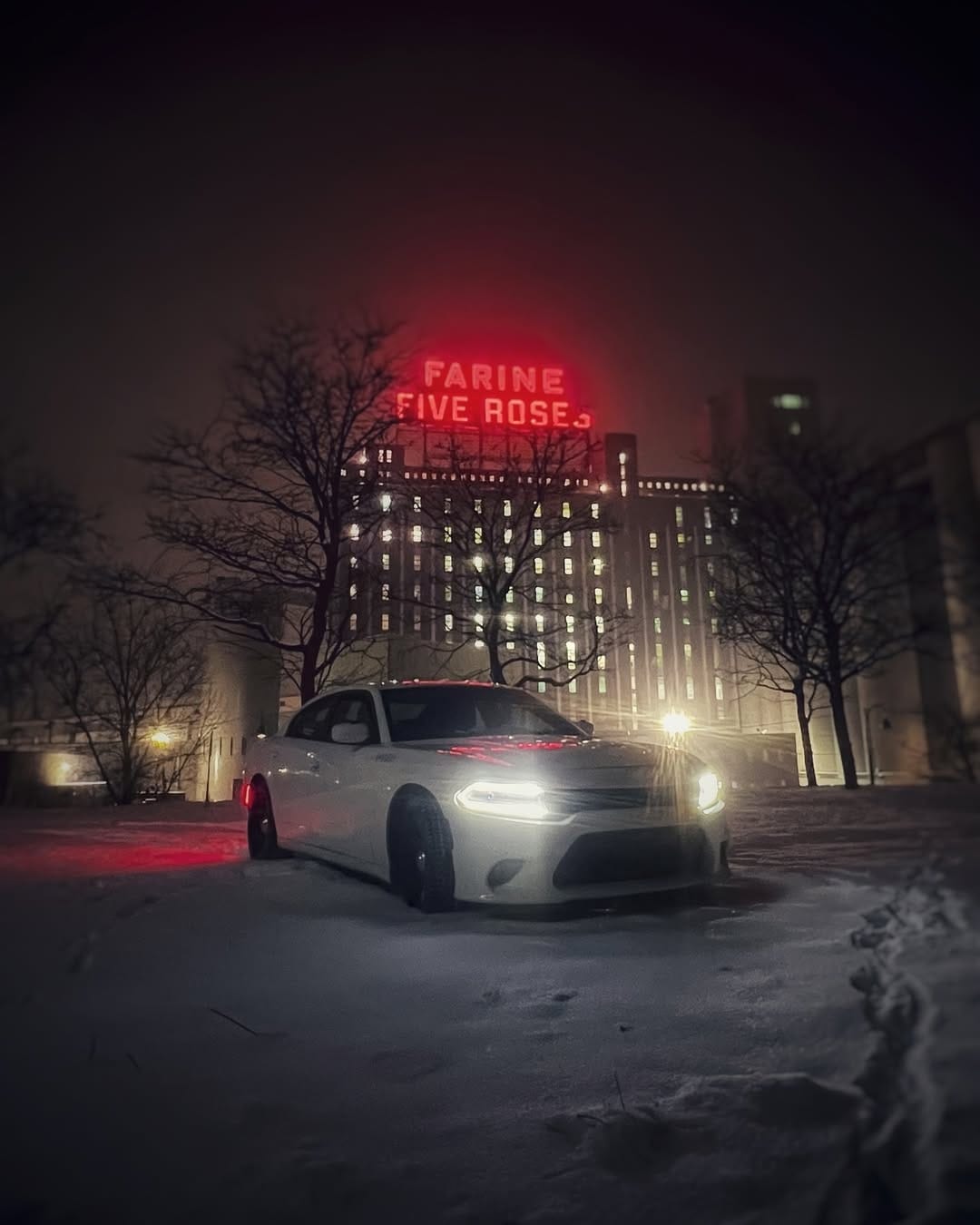 Post 7 by Eric Dussault on Instagram (image)
