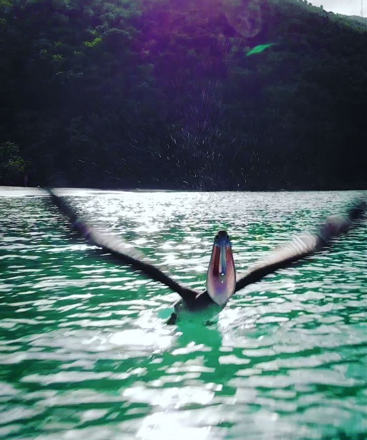 Post 4 by Adam 🇹🇷🇳🇱 Dünya Turu Günlüğüm on Instagram (video)