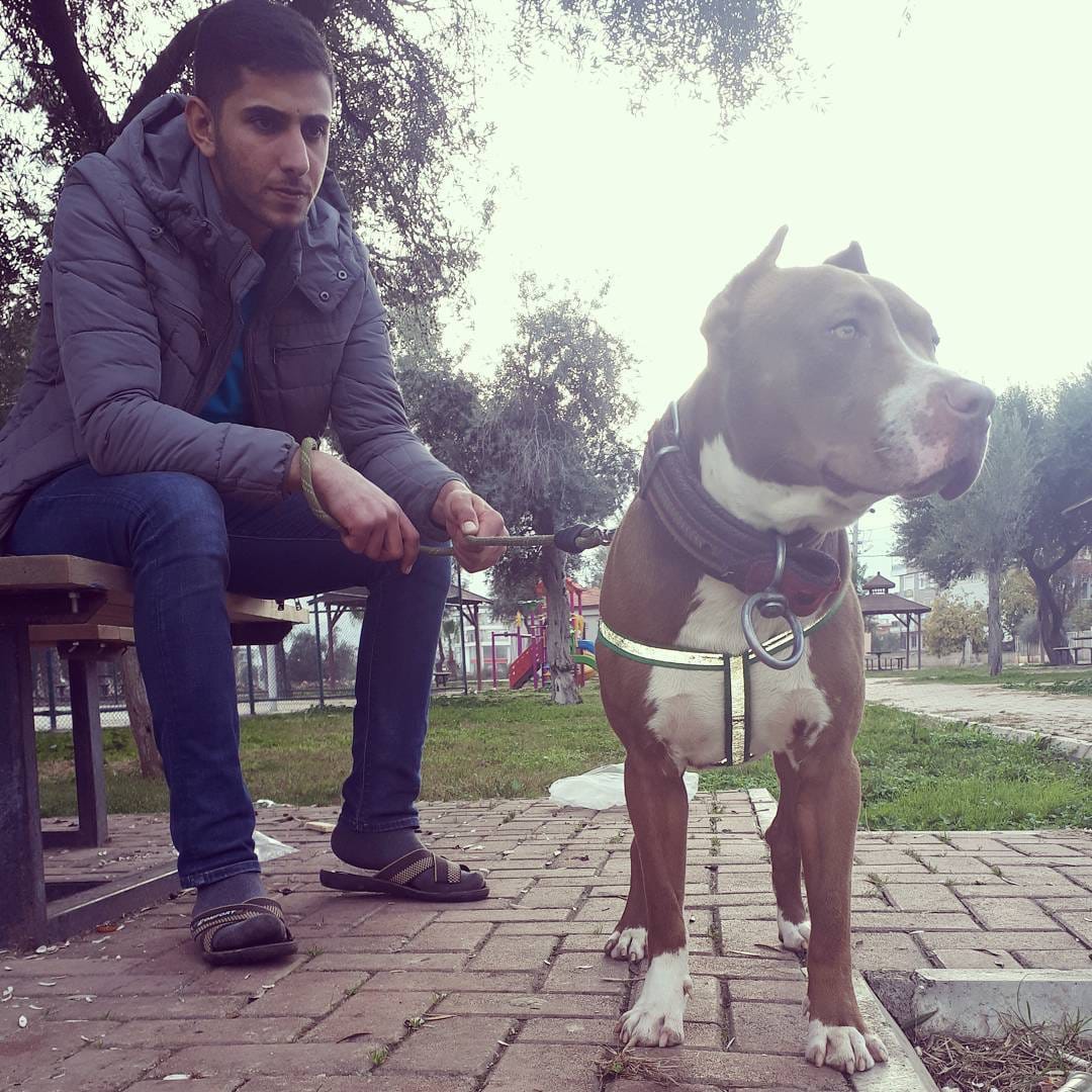 Post 9 by Abdullah  Ok ☄ on Instagram (image)