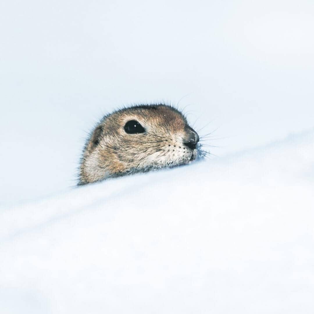 Post 4 by TravelUp Canada on Instagram (image)