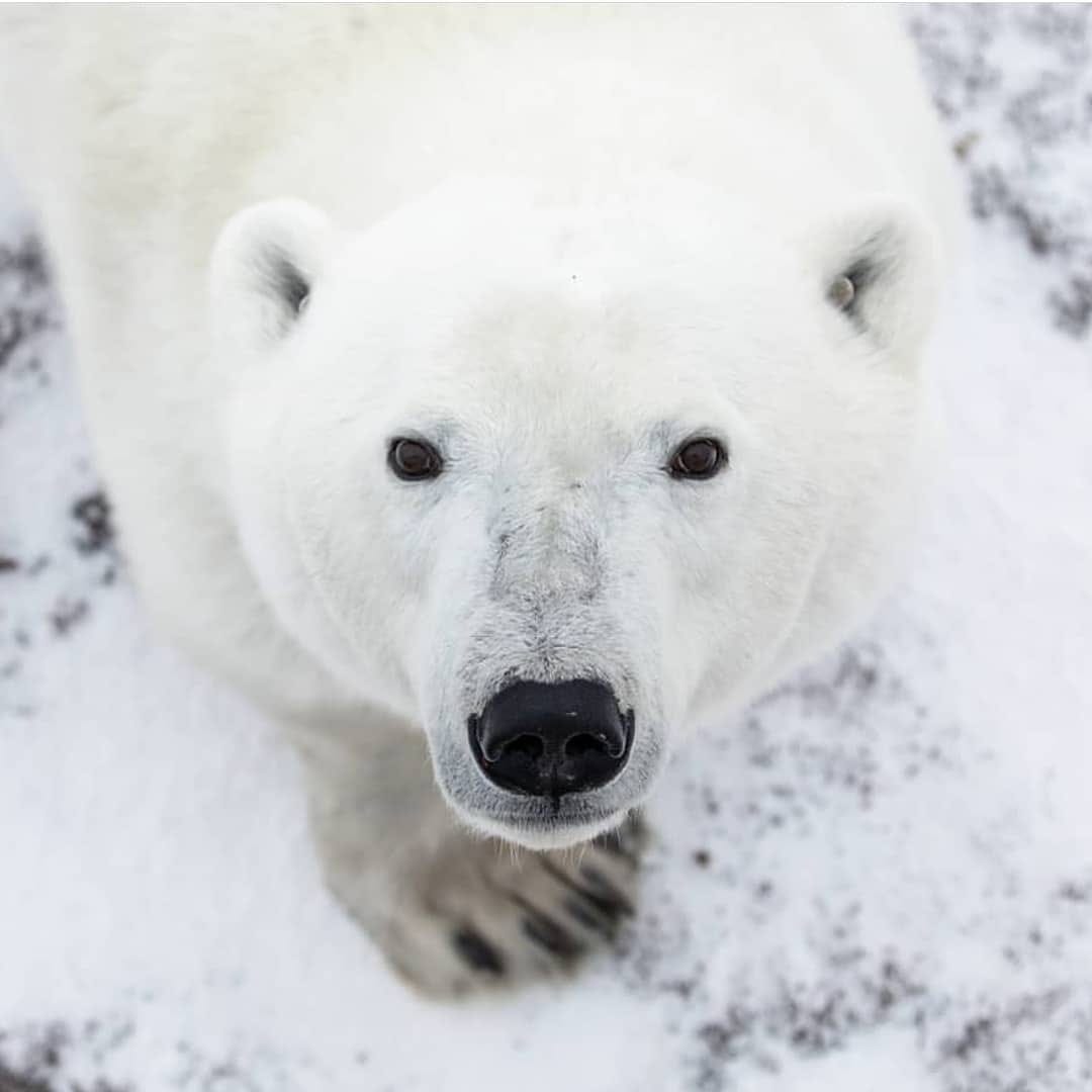 Post 8 by TravelUp Canada on Instagram (image)