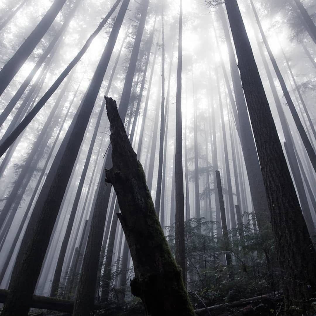 Post 2 by TravelUp Canada on Instagram (image)