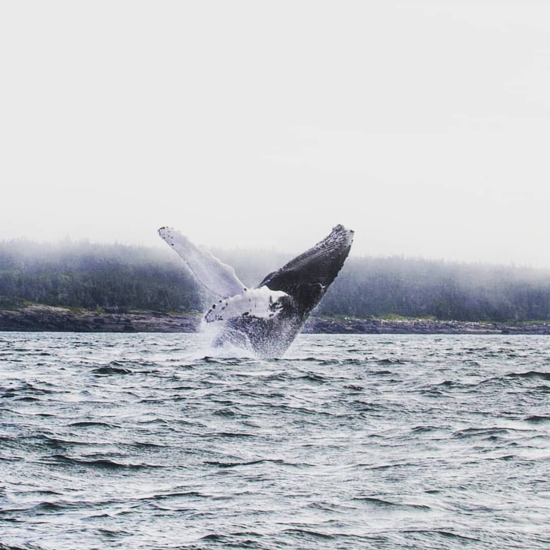 Post 9 by TravelUp Canada on Instagram (image)