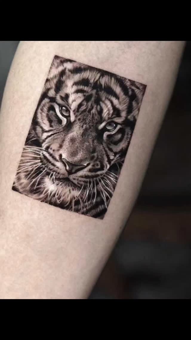 Post 3 by 𝘼𝙢𝙗𝙚𝙧 𝙏𝙖𝙩𝙩𝙤𝙤𝙨 on Instagram (video)