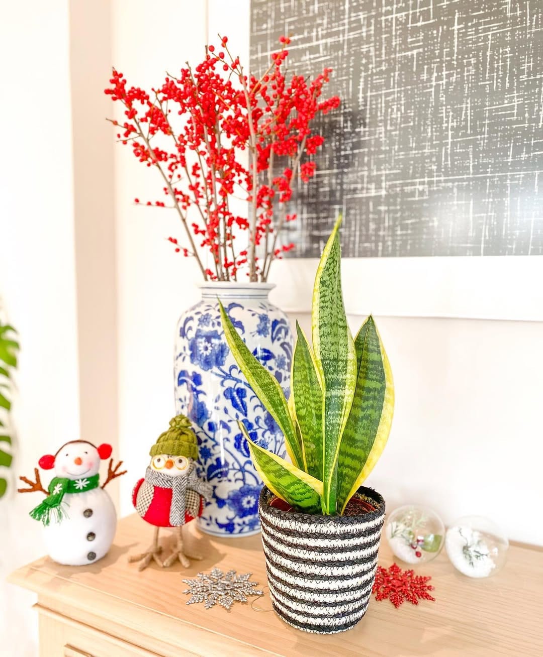 Post 5 by Greenery Istanbul on Instagram (image)