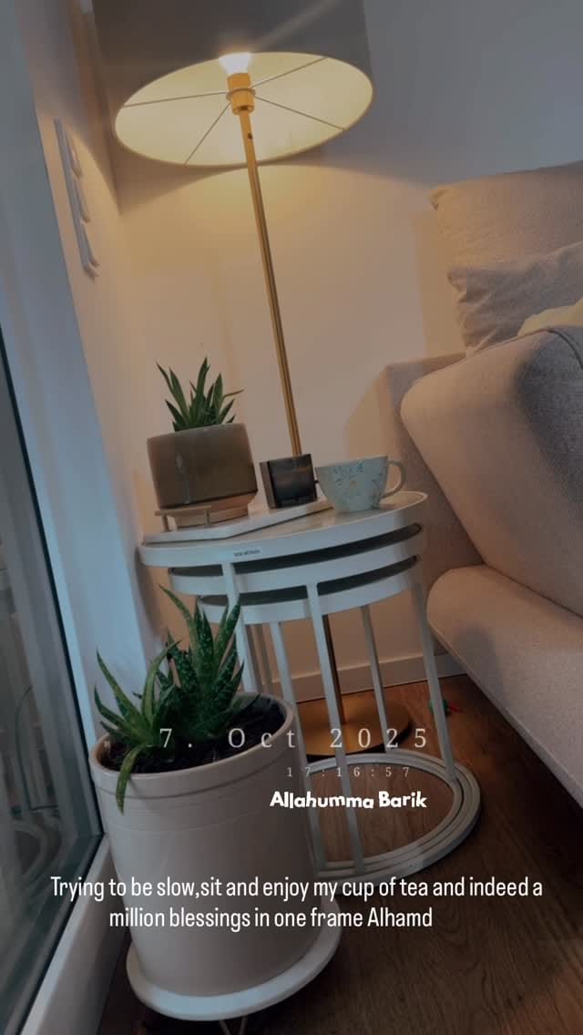 Post 5 by Traveling Dentist Mom/Samreen Sabir Chaudhry on Instagram (video)