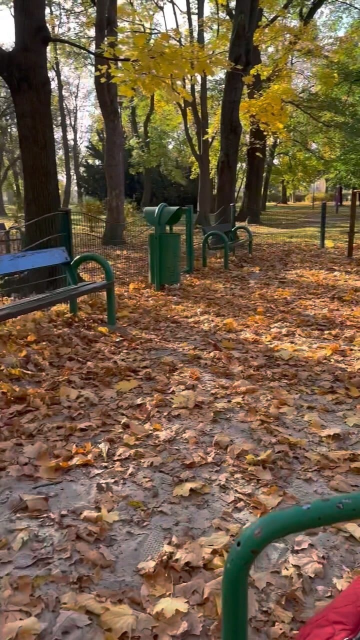 Post 8 by İlayda Gürbak on Instagram (video)