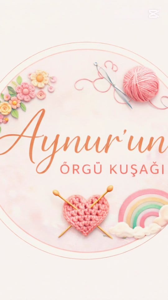 Post 6 by Aynur’un Örgü Kuşağı on Instagram (video)