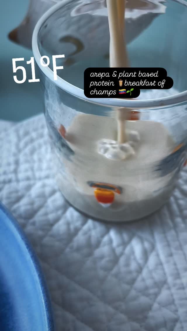 Post 2 by 🌻 Valentina Cordero Vegan Chef 🌱please be kind to animals on Instagram (video)