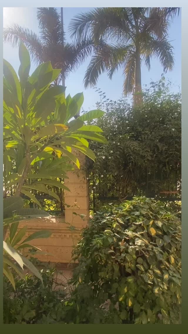 Post 2 by rehab tarek on Instagram (video)