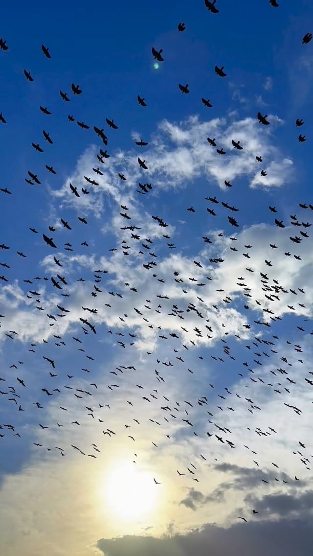 Post 10 by Berkay Ergür 👁‍🗨 on Instagram (video)