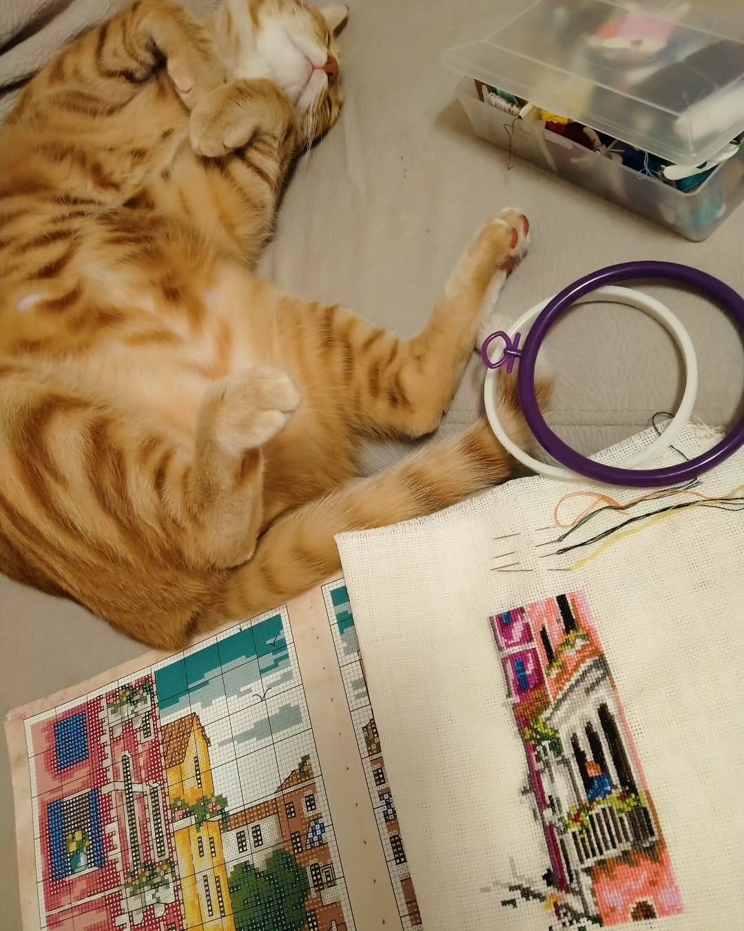 Post 8 by Hobi dünyası on Instagram (image)