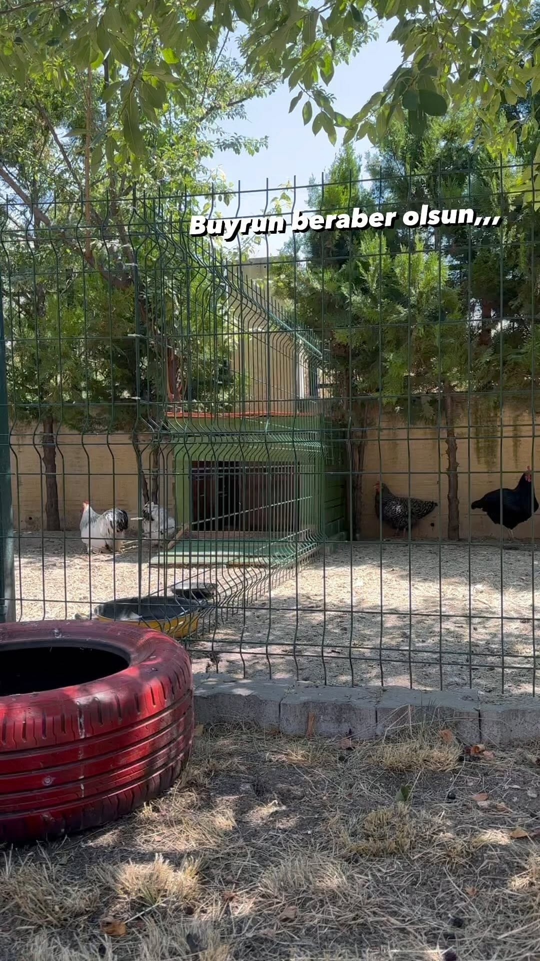 Post 6 by @saglikliyim on Instagram (video)