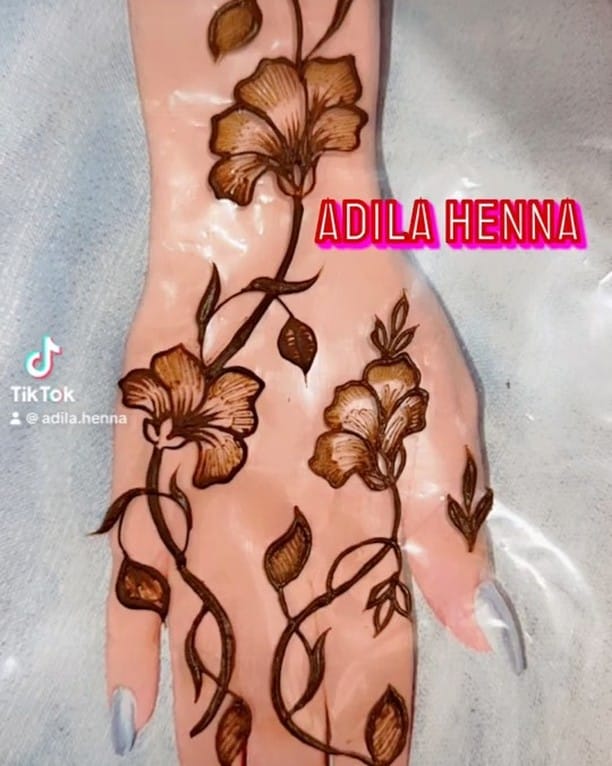 Post 8 by Adila Shahzad on Instagram (video)