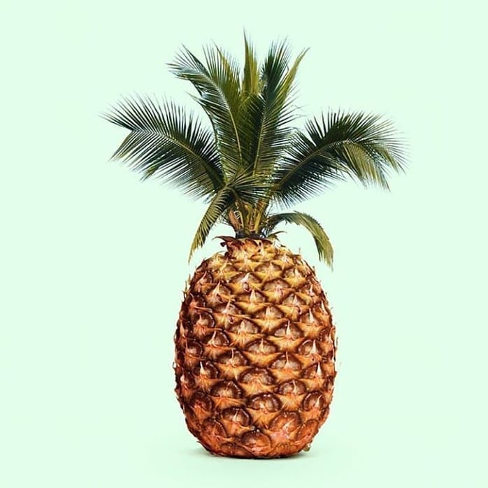 Post 4 by MERMELADA DE PIÑA® on Instagram (image)