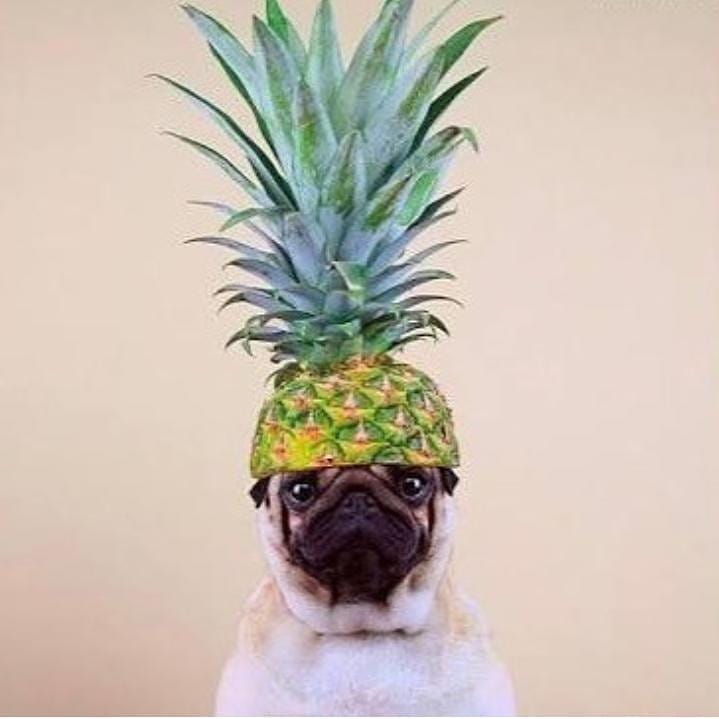 Post 5 by MERMELADA DE PIÑA® on Instagram (image)