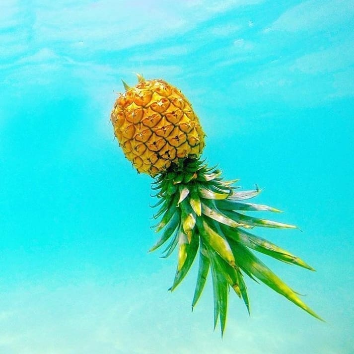 Post 6 by MERMELADA DE PIÑA® on Instagram (image)