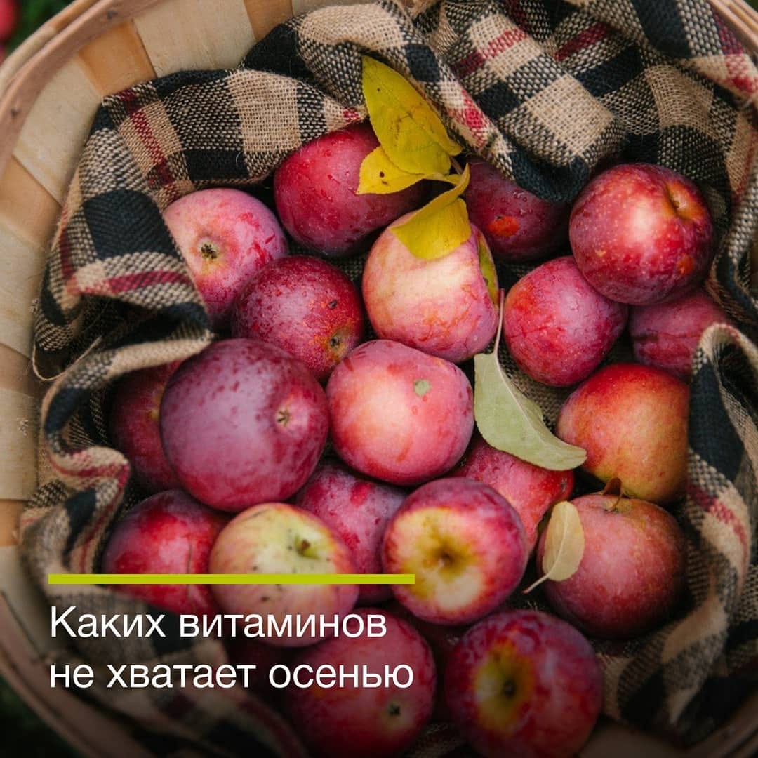Post 10 by Витамины Orthomol в России on Instagram (image)