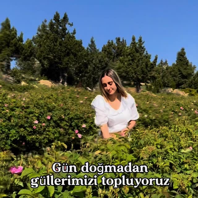 Post 9 by ROSE NİGHT on Instagram (video)