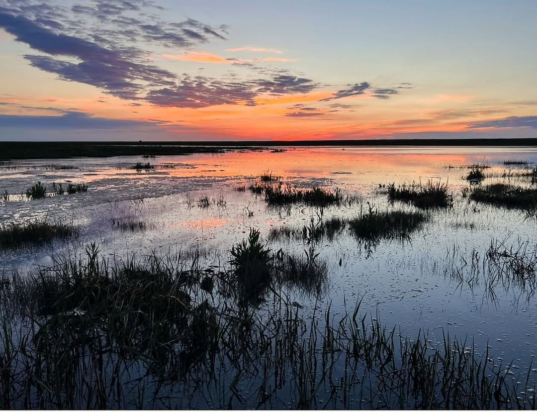 Post 8 by Stefanie Schmitz on Instagram (image)