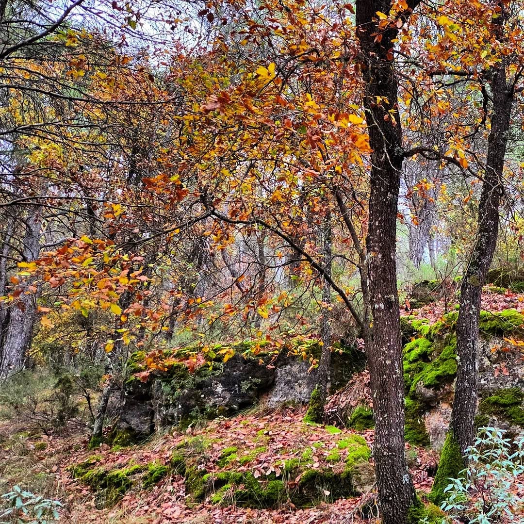 Post 9 by M Pilar Juarez Lopez on Instagram (image)