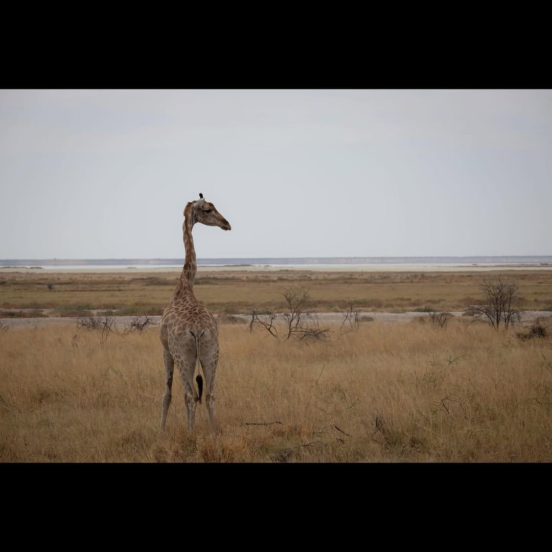 Post 9 by Renkler ve Mesafeler on Instagram (carousel)
