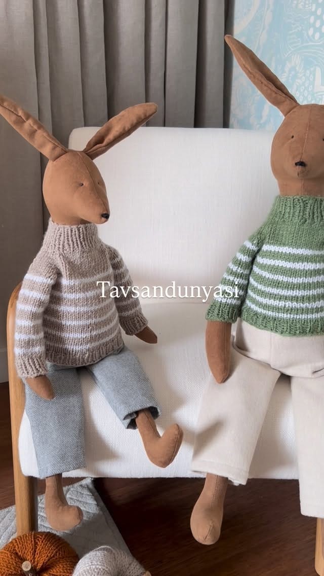 Post 9 by Tavşan dünyası on Instagram (video)