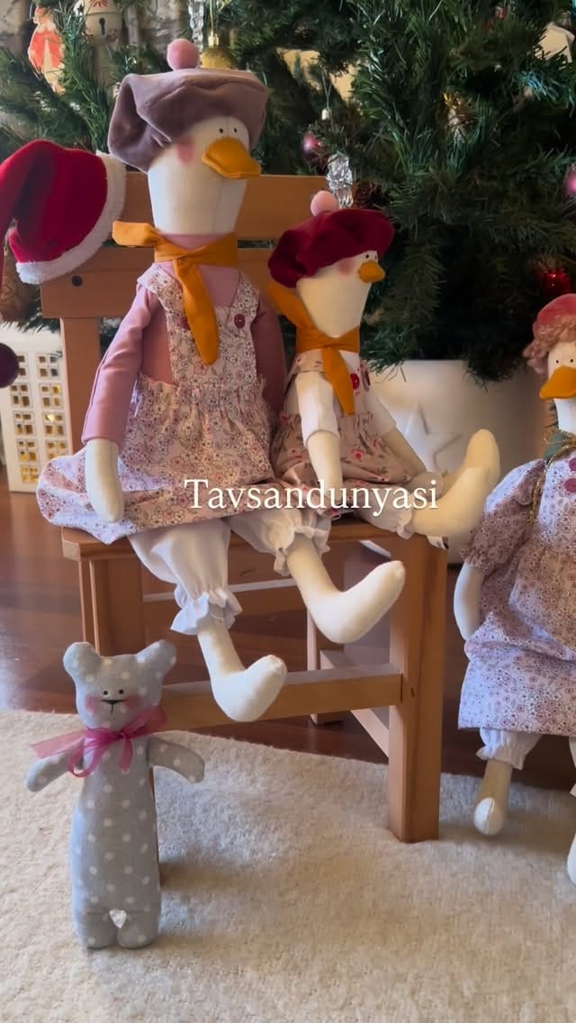 Post 5 by Tavşan dünyası on Instagram (video)