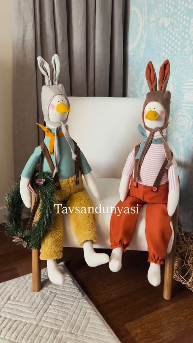 Post 7 by Tavşan dünyası on Instagram (video)