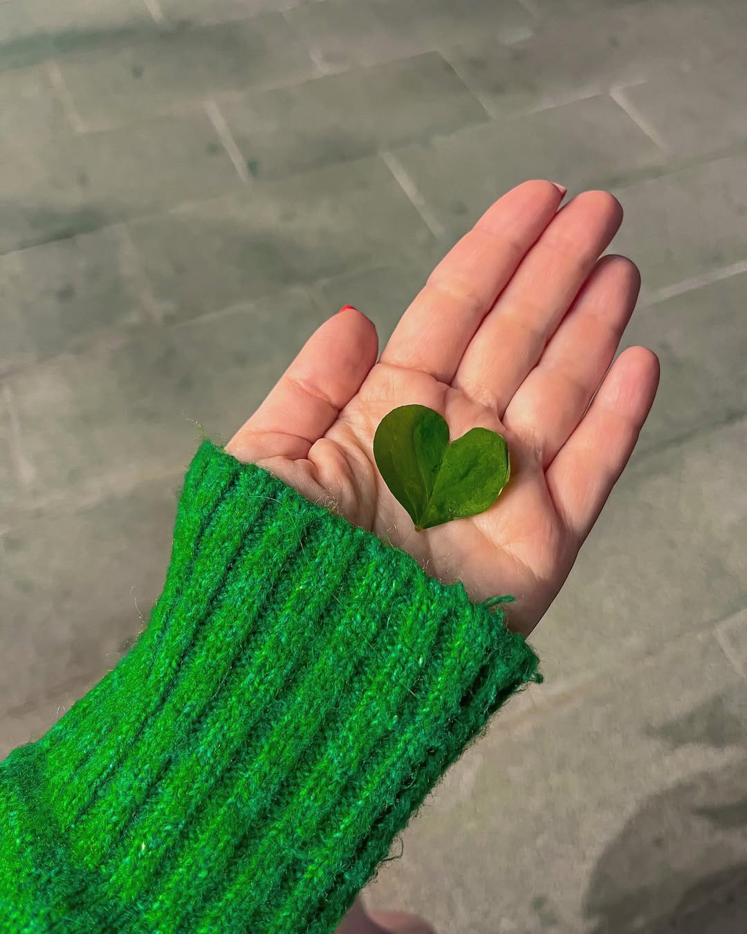 Post 10 by Maria Mikhaylichenko on Instagram (image)