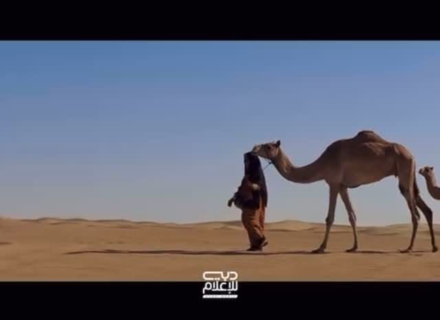 Post 7 by Nivine Tabet 👁 | Fashion Stylist on Instagram (video)
