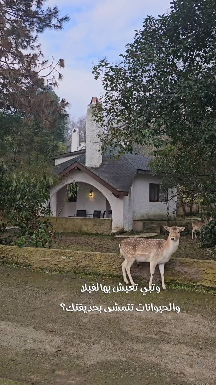 Post 1 by بورصه.إن 🇰🇼 مُدوِّن سياحي on Instagram (video)