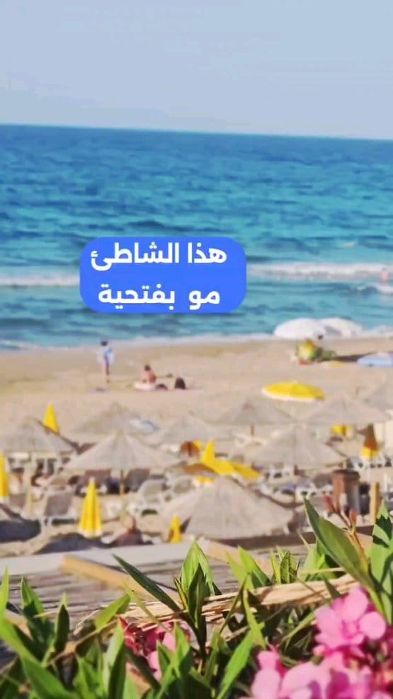Post 4 by بورصه.إن 🇰🇼 مُدوِّن سياحي on Instagram (video)