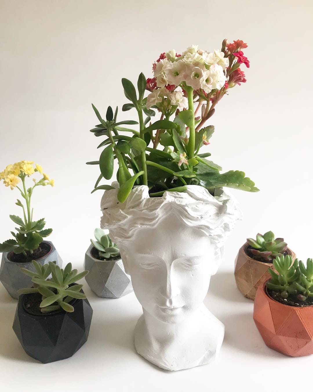 Post 4 by 🌵Sukulent Bahçesi🌵 on Instagram (image)