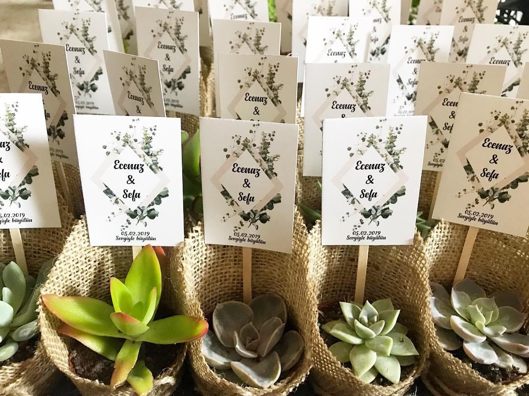 Post 7 by 🌵Sukulent Bahçesi🌵 on Instagram (image)