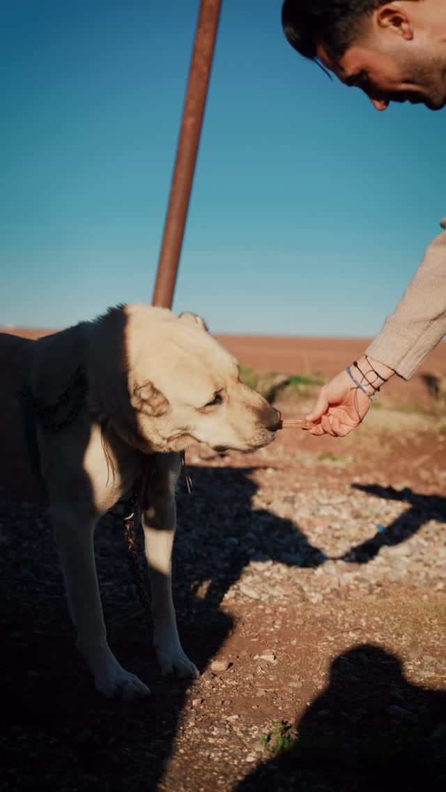 Post 2 by Hasan Ali Kaldırım on Instagram (video)