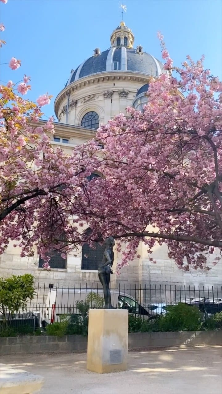 Post 1 by 𝔼 𝕍 𝔼 𝕃 𝕐  ℕ 𝔼 ★ TRAVEL&PHOTO on Instagram (video)