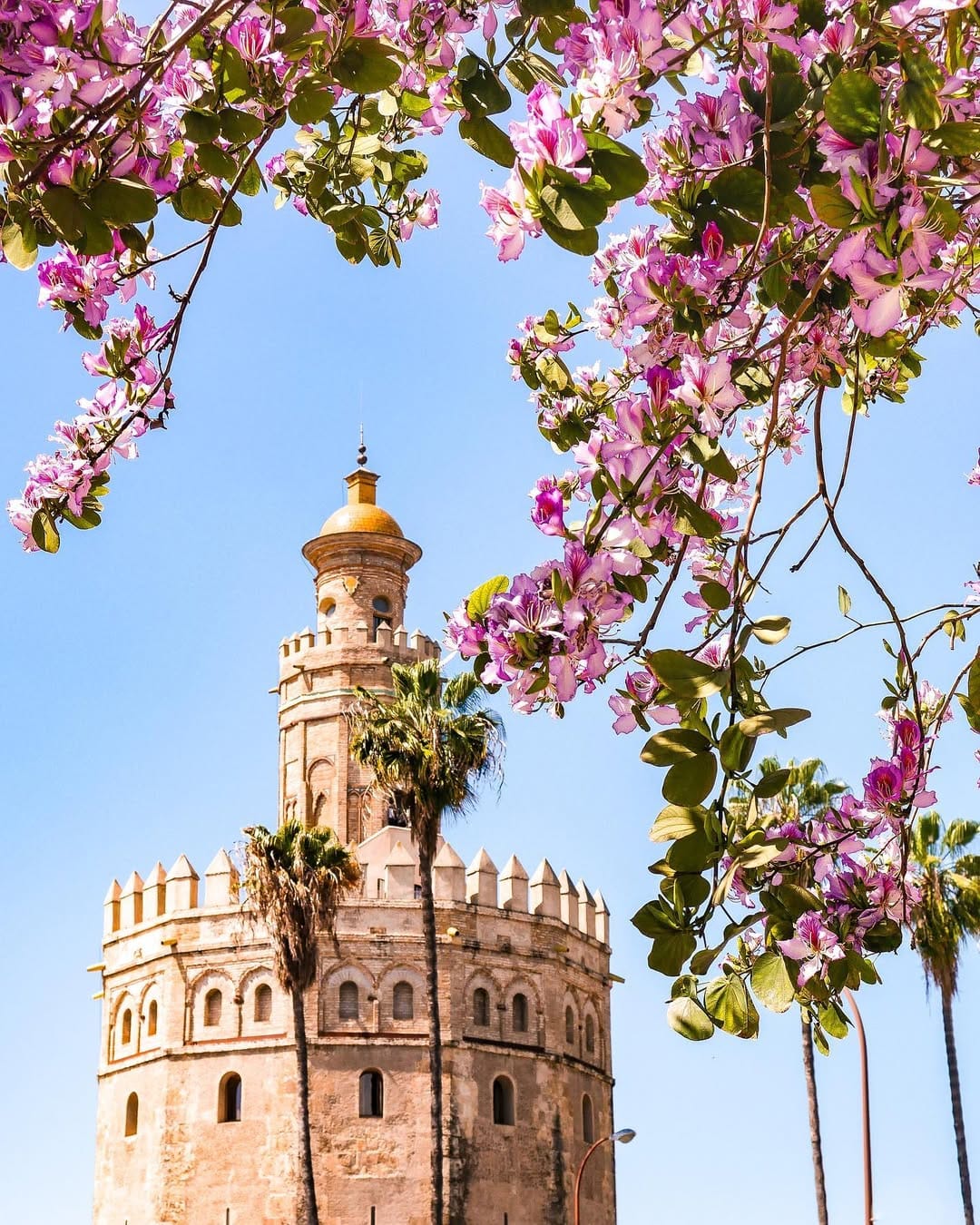 Post 2 by 𝔼 𝕍 𝔼 𝕃 𝕐  ℕ 𝔼 ★ TRAVEL&PHOTO on Instagram (image)