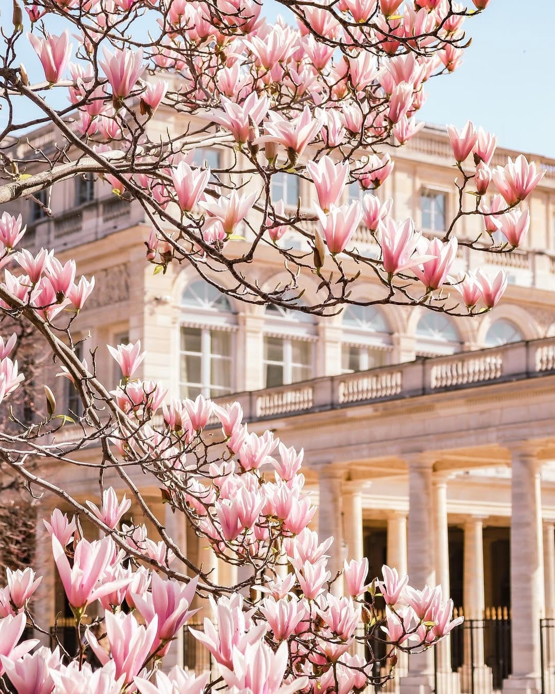 Post 5 by 𝔼 𝕍 𝔼 𝕃 𝕐  ℕ 𝔼 ★ TRAVEL&PHOTO on Instagram (image)