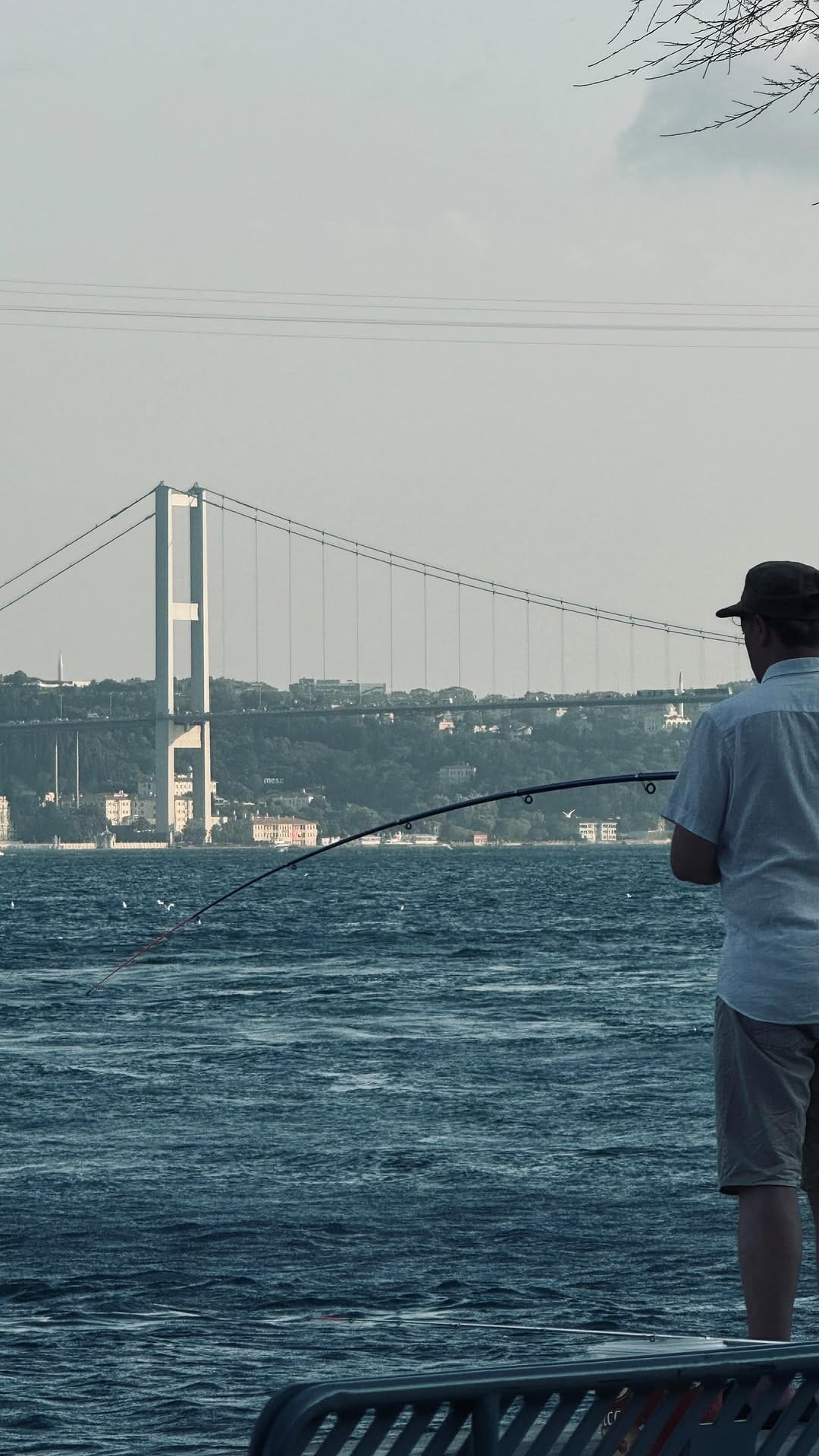 Post 6 by İstanbul Fotoğrafları️️ on Instagram (video)