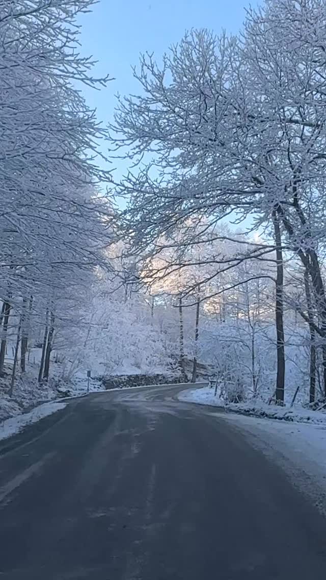 Post 8 by Selçuk Öğretmenin objektifi on Instagram (video)