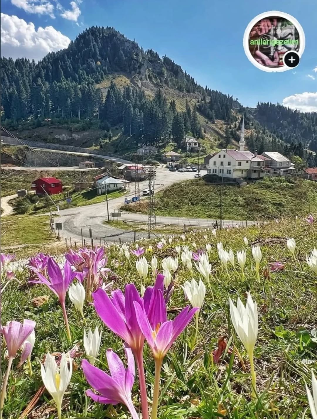 Post 10 by Selçuk Öğretmenin objektifi on Instagram (image)