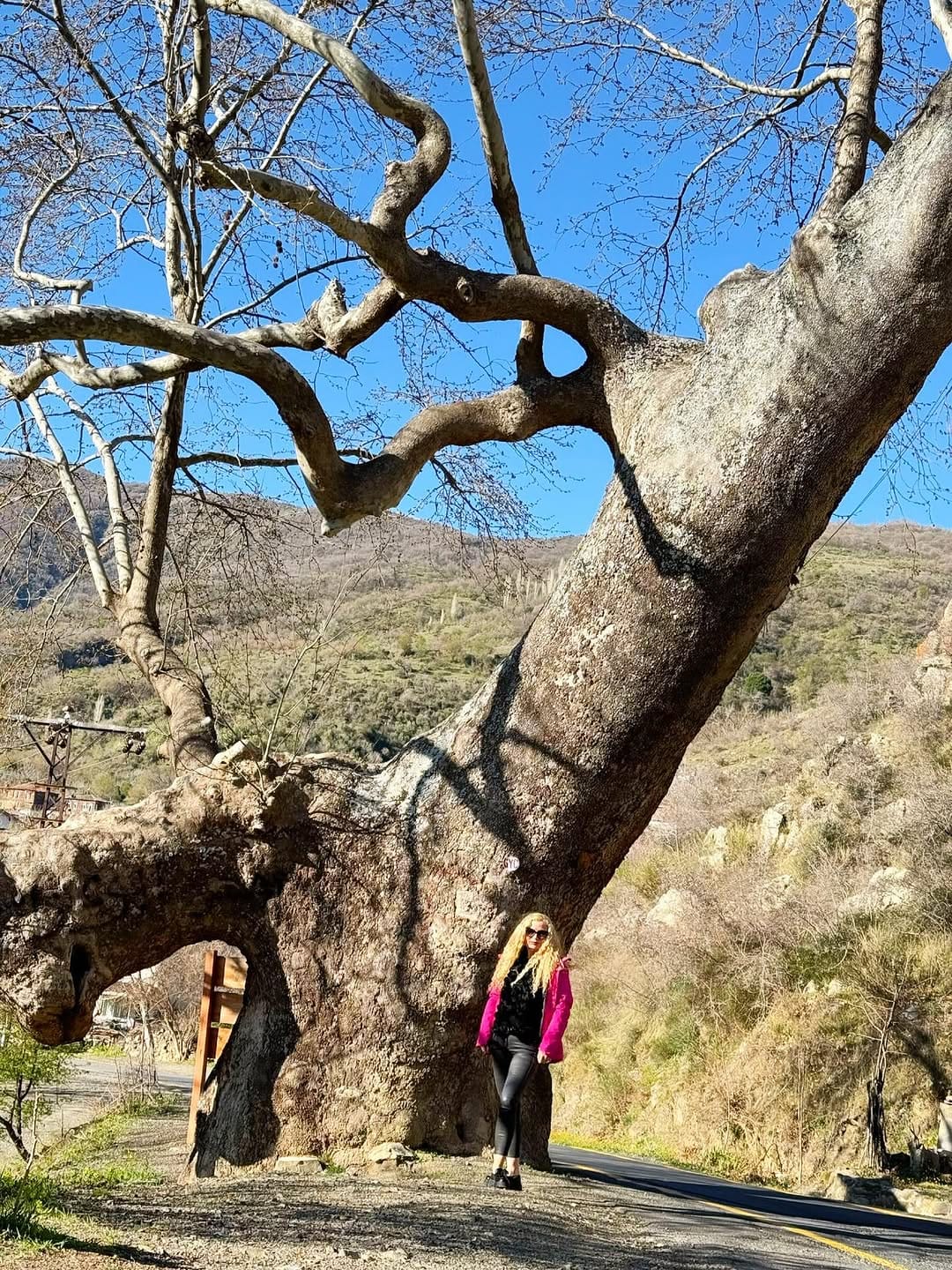 Post 7 by Ece Tanrıça Gezen on Instagram (image)