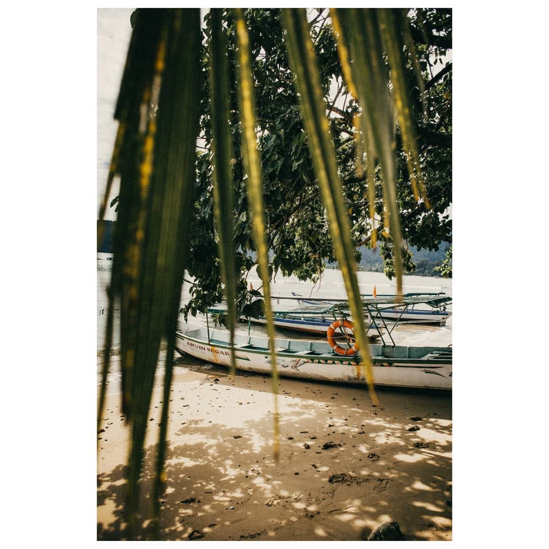 Post 6 by Dmitry Terekhov on Instagram (image)