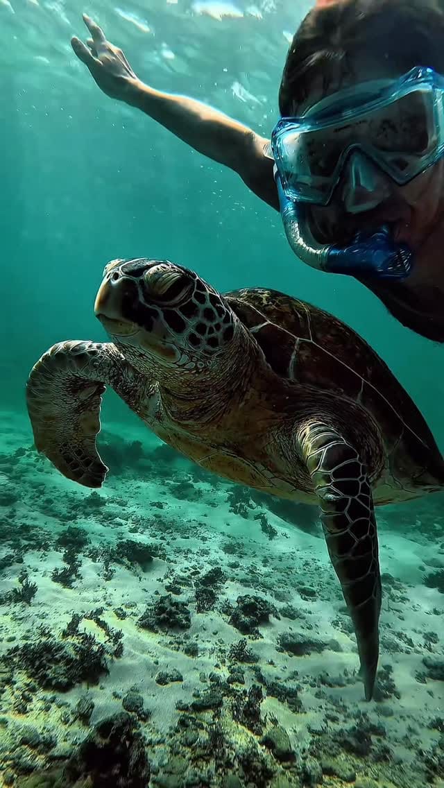 Post 6 by Stepan Deonisyev | Surfing | Snowboarding on Instagram (video)