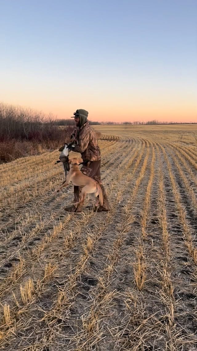 Post 3 by Jeremy Wildeman on Instagram (video)