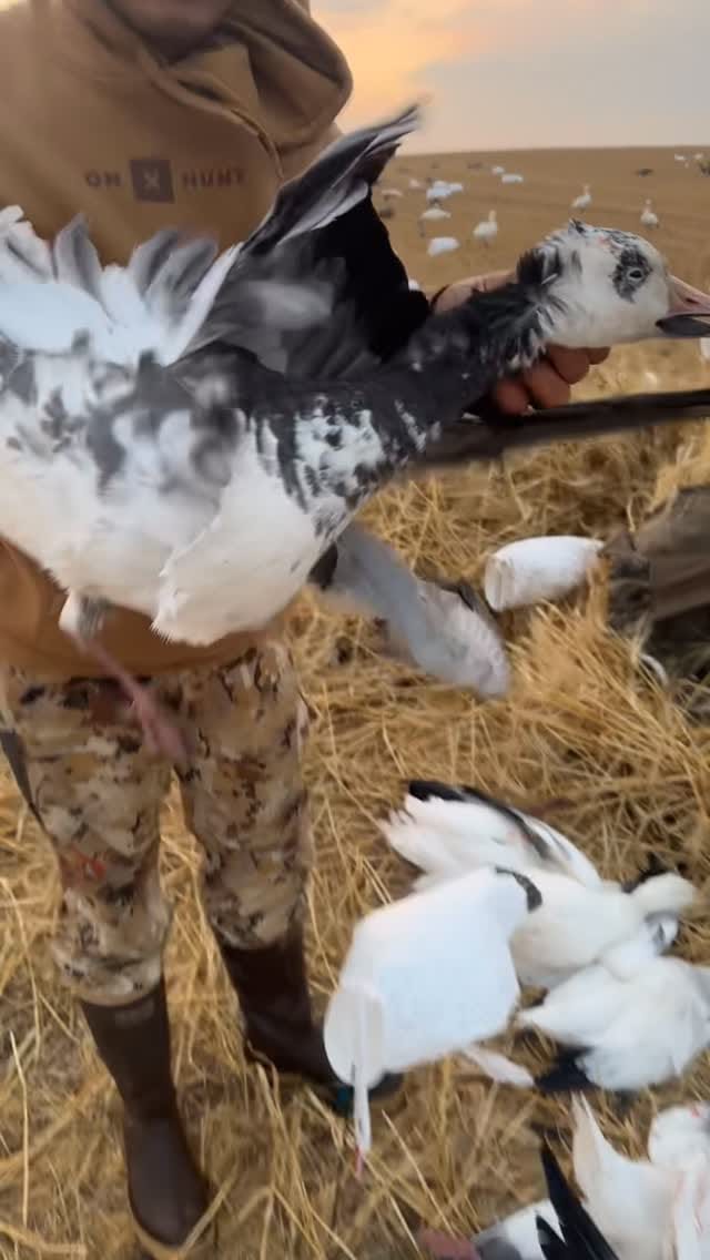 Post 5 by Jeremy Wildeman on Instagram (video)