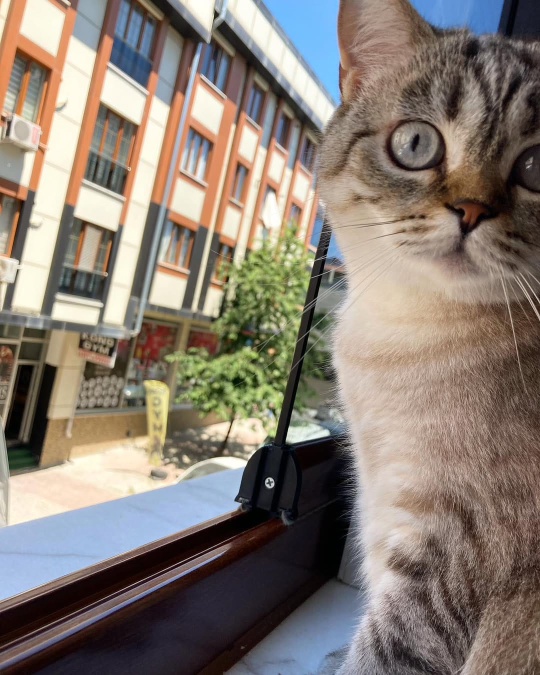 Post 7 by Yağmur Aydın on Instagram (image)